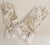 Tilda Jr. -- Toddler's Lace Gloves -- White