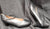 1.5" Pivot -- Women's Instep Strap Character Shoes -- Black