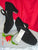 2.25" Sevilla -- Flamenco Shoe -- Black Suede - Teddy Shoes