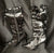 3.75" Calla X -- Women's Buckle Dress Boot -- Black