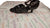 2" Amelia -- Flare Heel Latin Sandal -- Black - Teddy Shoes